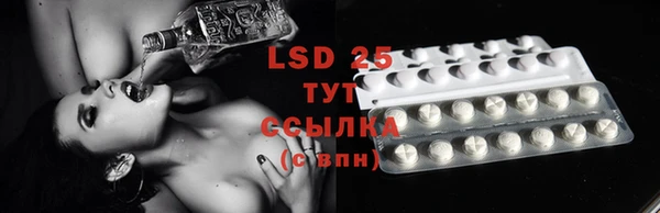 прущие грибы Покров