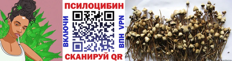 Псилоцибиновые грибы мухоморы  маркетплейс состав  Кириллов 